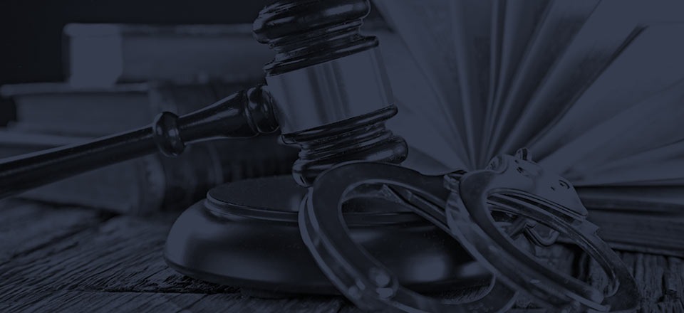 Legal expertise background